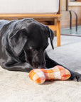 Black dog plays with Pumpkin Spice Plaid Fall Flannel Dog Squeaky Toy