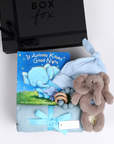 BOXFOX New Baby Boy Box in black, including a swaddle, elephant rattle teether, hat and book.