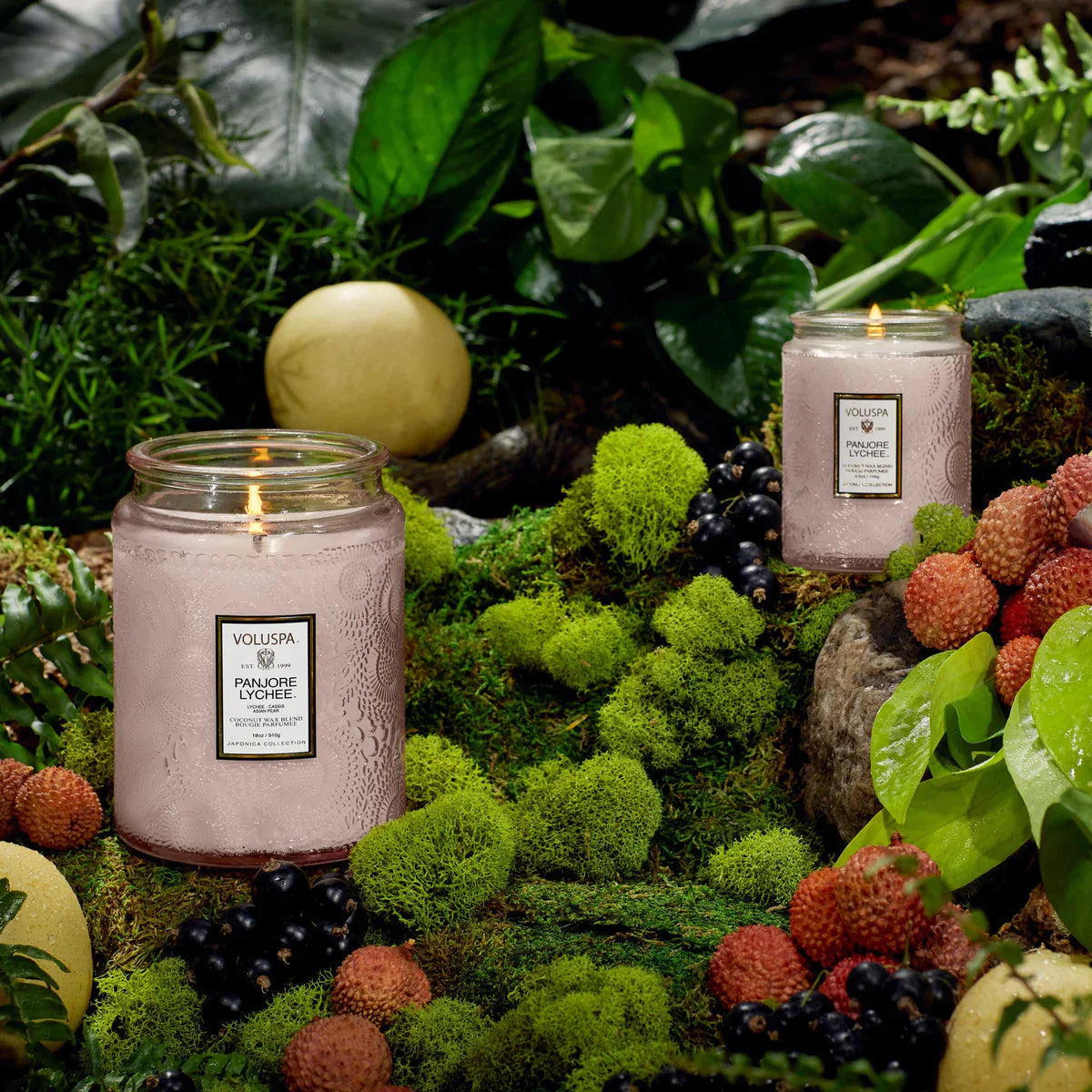 Panjore Lychee Candles in nature scene