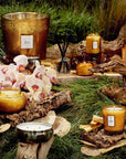 Baltic amber collection in nature scene 