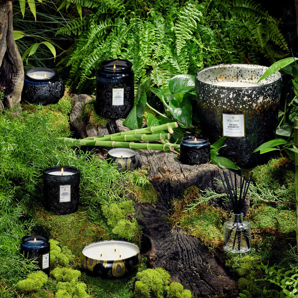 Moso Bamboo Candle collection in nature scene