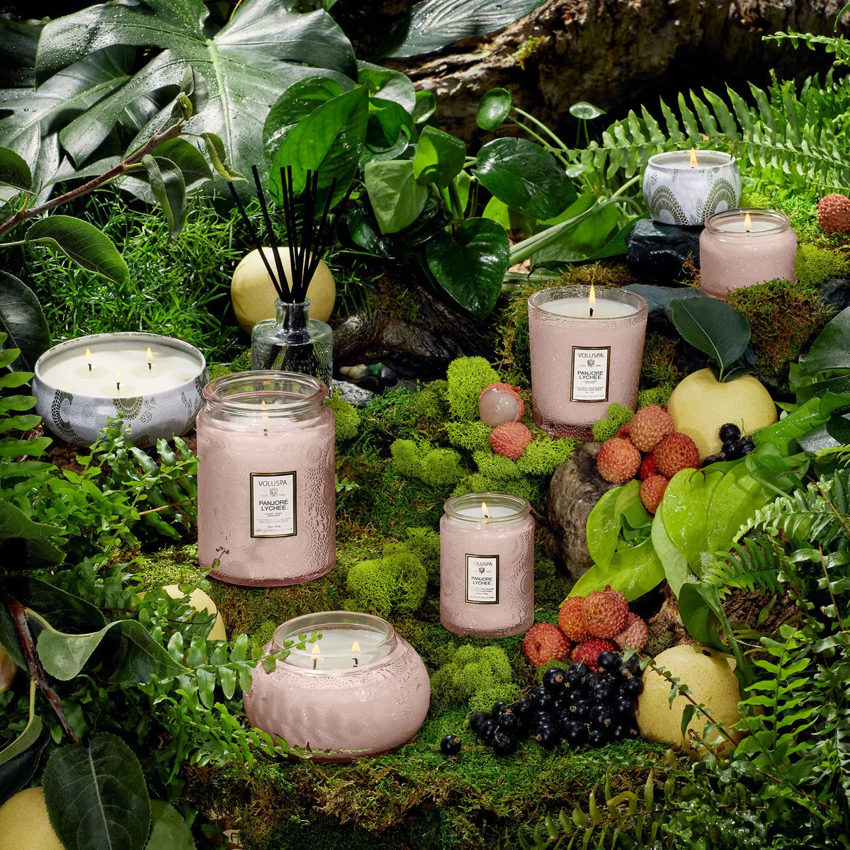 Panjore Lychee Candle collection in nature scene
