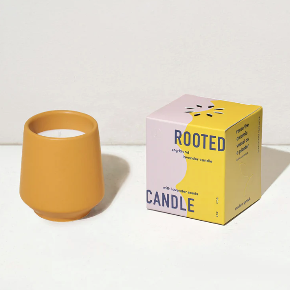 Rooted Candle - Lavender And Cedarwood